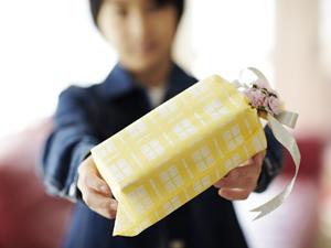 野生の力をわんこへ!鹿肉ドッグフード