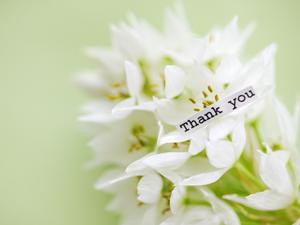 安心して買えるシャンパンの通販ショップ